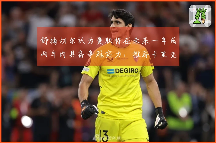 舒梅切尔认为曼联将在未来一年或两年内具备争冠实力，推荐卡里克正式执掌教鞭。